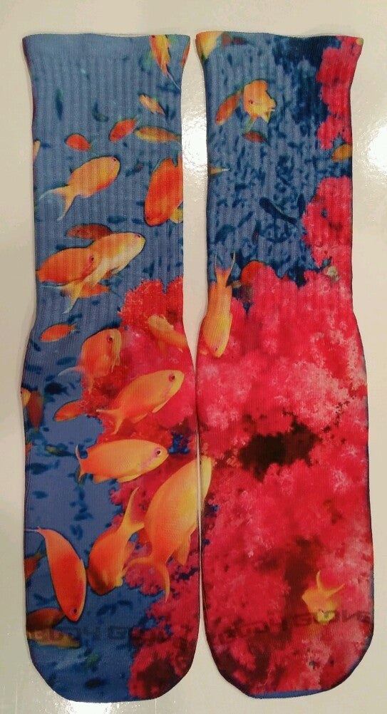 https://i.ebayimg.com/00/s/MTAwMlg1NDM=/z/cKcAAOxyCTtTctP-/$_57.JPG