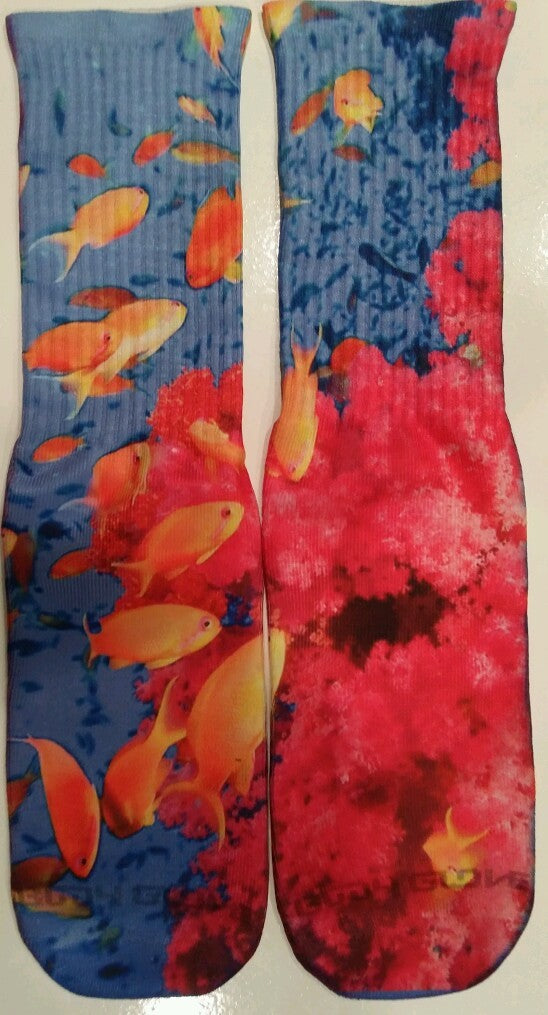 https://i.ebayimg.com/00/s/MTAxNVg1NDg=/z/H78AAOxyZzlTcpNS/$_57.JPG